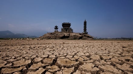 Onu, Corno d’Africa colpito da siccità senza precedenti 