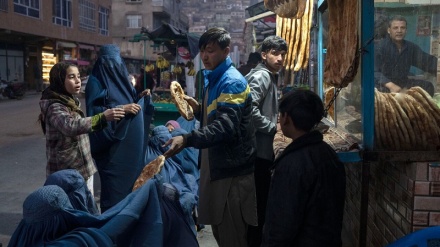 بحران غذا در افغانستان به مرز فاجعه رسیده است