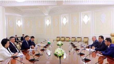 دیدار سفیر تاجیکستان با رئیس مجلس عالی ازبکستان