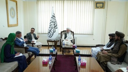 د دوحې په راتلونکې غونډه کې د شویو پرېکړو په اړه د حنفي غبرګون