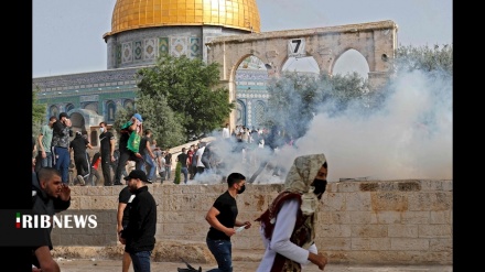 Në vitin e kaluar janë vrarë të paktën 200 sionistë në Palestinën e pushtuar