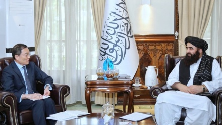 駐アフガン日本大使、タリバン政権との関係維持を主張