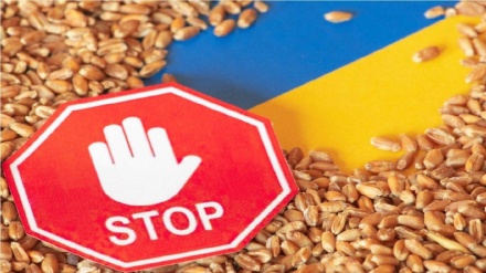 Grano ucraino problema per l'Europa, Polonia propone  estensione divieto di importazione