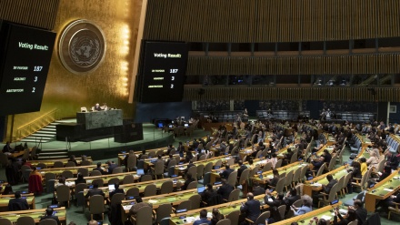 国連人権理事会で、パレスチナ支持決議が採択