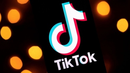 Britania në kulmin e lirisë së shprehjes, gjobit me 16 milionë paund TikTok