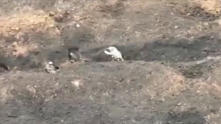 د اوکراین او د روسیه د سرتیرو ترمنځ لاس په لاس جګړه دلته کتلی شئ.