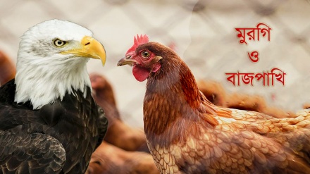 বাইরের দিক দেখে বিচার করা ঠিক না