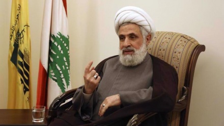 Iran 'flagbearer' for support of resistance: Hezbollah official