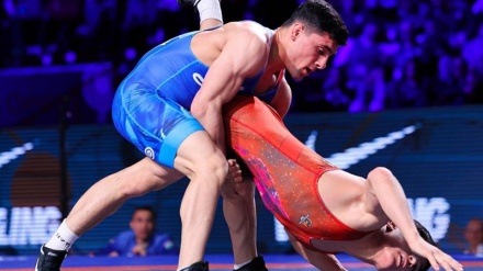 چهار مدال طلای کشتی فرنگی ایران در مسابقات قهرمانی آسیا 