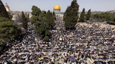 תפילות הרמדאן באל אקצא: יותר מ-100 אלף פלסטינים תושבי הגדה חצו במעברים