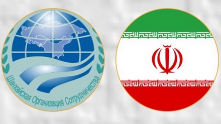Перспектива Шанхайской организации сотрудничества с членством Ирана с точки зрения исследований аналитических центров 