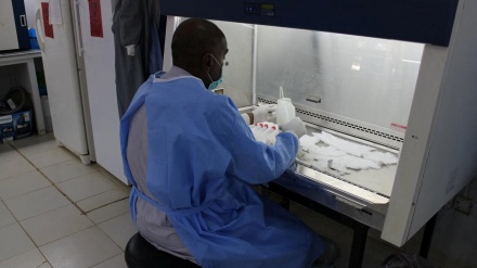 Guerra in Sudan, occupato laboratorio di virus: rischio biologico