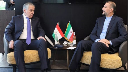 Встреча и консультация министров иностранных дел Ирана и Таджикистана