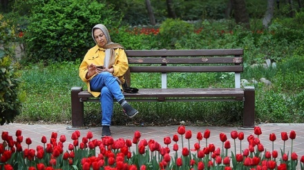 Bagh-e Irani, Taman Indah Penuh Bunga Tulip (1)