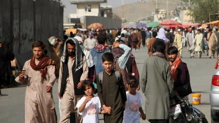 خروج حدود ۲۵۰۰ نفر از اتباع افغانستانی از پایانه مرزی میلک