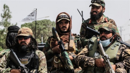 طالبان: 13 داعشی در هرات به هلاکت رسیدند