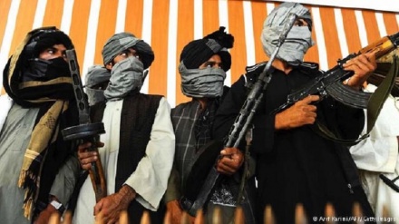  ادعای رسانه غربی درباره فعالیت گروه‌های افراطی در افغانستان 