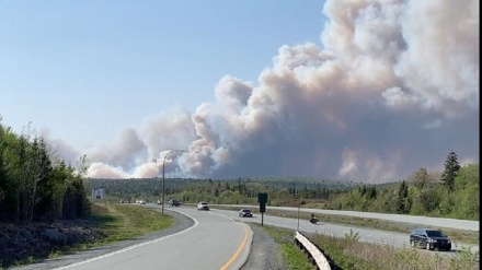 野火威胁加拿大哈利法克斯市 逾万人疏散