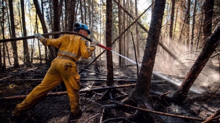  Wildfires hit Canada's gas flow to US, driving up prices 