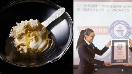 6700 դոլար. Ճապոնիայում պատրաստվել է աշխարհի ամենաթանկ պաղպաղակը, որը գրանցվել է Գինեսի գրքում