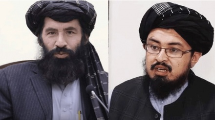 قاری احمدی در مرکز رسانه‌های طالبان جانشین سمنگانی شد