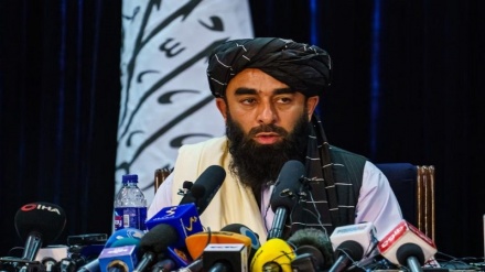 طالبان: در آینده‌ نزدیک کشت مواد مخدر به صفر خواهد رسید