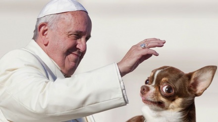 ローマ教皇は、育児の代わりのペット飼育を批判