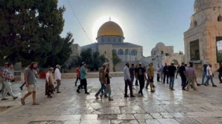 איחוד האמירויות גינתה את הגעת חברי כנסת למתחם אל אקצא