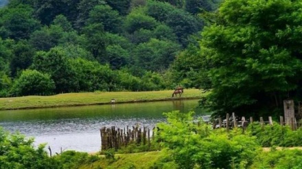 (FOTO DEL GIORNO) Lago Saragah     