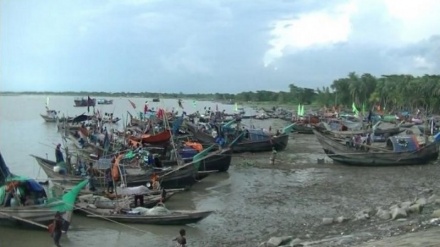 জেলের জালে পড়ছে না ইলিশ, হাহাকার জেলে পাড়ায়; বৃষ্টি বাড়লে মিলবে কাঙ্খিত ইলিশ