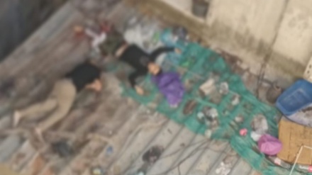 Sadis! Tentara Zionis Tembak Mati Dua Warga Palestina