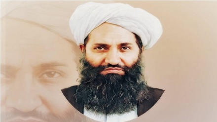 اظهارات تازه منصوب به رهبر طالبان در مورد اجرای شریعت اسلامی 