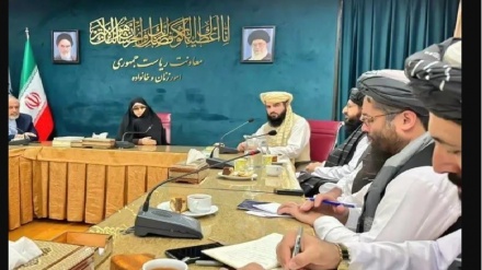 دیدار وزیر صحت عامه طالبان با معاون رئیس جمهور ایران