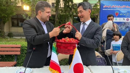 駐イラン日本大使が、イラン西部のイチゴ生産投資シンポに出席