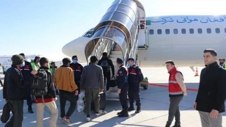 مذاکرات کشورهای اروپایی با طالبان برای اخراج مهاجران غیرقانونی