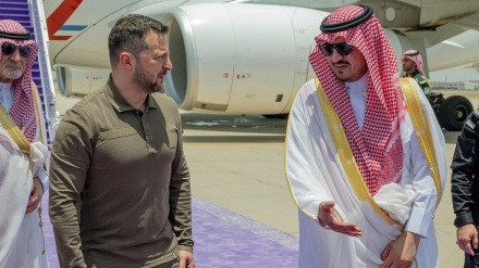 Ukrainian President attends Arab League Summit, prepares for G7 appearance 