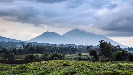 Mhandisi, walinzi wa mbunga ya Virunga wauawa katika shambulio la waasi DRC