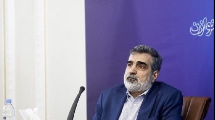 כמאלוונדי: אין משמעות לאיומים נגד התעשייה הגרעינית של איראן