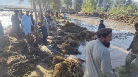 جان باختن 4 کودک بر اثر جاری شدن سیلاب در ننگرهار 