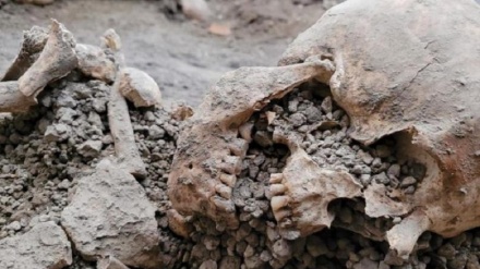 Italia: Scoperta di due nuovi scheletri riesumati a Pompei