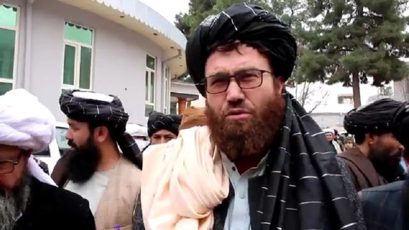 وزیر زراعت حکومت طالبان: طرح بدیل معیشت در حال تطبیق است