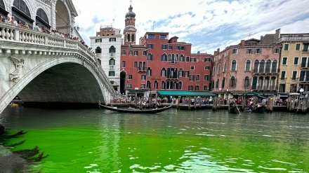 Bëhet i gjelbër uji i kanalit të Venecias në Itali