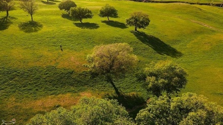 (FOTO DEL GIORNO) Valle di Anaran 