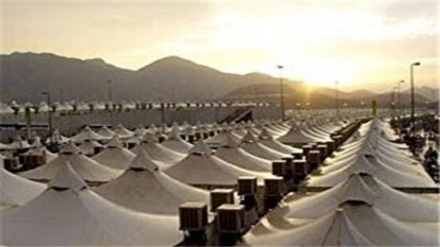 برپایی چادر‌های زائران در صحرای عرفات + فیلم