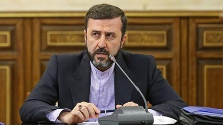 Garib Abadi'den ABD hükümetinin insan haklarını hiçe saymasına yönelik eleştiri