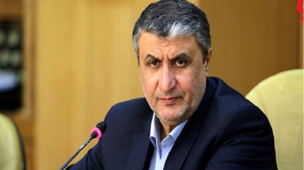 Iran Tanggapi Statemen Terbaru Dirjen IAEA 