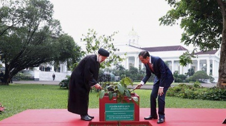 Presiden Indonesia dan Iran Tanam Pohon Ulin, Simbol Persahabatan