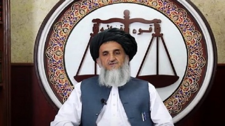 اجرای 37 حکم سنگسار در افغانستان با حکم دادگاه‌های حکومت طالبان