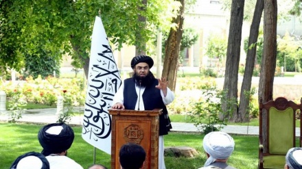 طالبان: مشکل کوچی‌ها و هزاره‌ها را در پرتو قانون و شریعت حل می‌کنیم