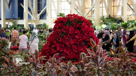第19回テヘラン花・植物国際見本市が閉幕、国内外来場者に好評